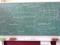 rl - allahopp planwerk_14