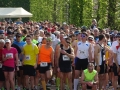 42_r_pic_03