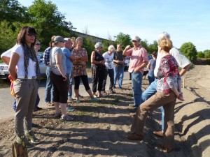 Spargelworkshop 2