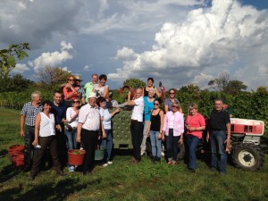 Weinlese 2014