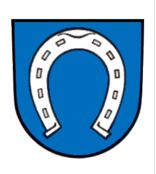 Flötist der Jugendmusikschule Brühl bei „Jugend musiziert“ erfolgreich