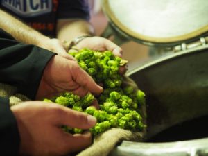 Grünhopfen-Gabe bei Welde (Foto: Welde)