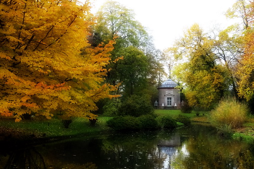 Florwechsel im Herbst