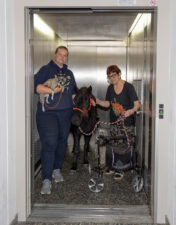 Gerade im Obergeschoss angekommen: Carina Reuter (links) mit ihrem Chihuahua „Muck“ und ihrem Mini-Shetlandpony "Etti" gemeinsam mit Residenzbewohnerin Walburga Georgi im Fahrstuhl der Pro Seniore Residenz Neuhofen. (Foto: Busse)
